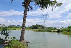 NHÀ CẤP 4 – 157M² – VIEW SÔNG MÁT MẺ - NGANG 8,4M – GIẢM 200TR CÒN 7,5 Đ... Bán nhà riêng tại Nhà Bè, Hồ Chí Minh 04