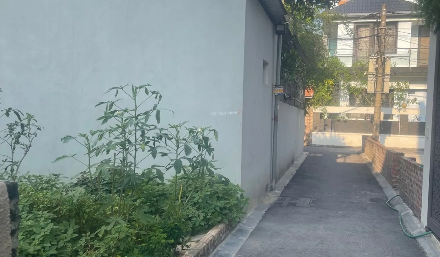Bán đất 62,2m² tại Nam Hồng, ô tô tránh... Bán đất tại Phúc Thịnh, Hà Nội 01
