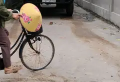 Đất đẹp tại xã Sóc Sơn, Hà Nội, sổ đỏ chính chủ... Bán đất tại Sóc Sơn, Hà Nội 11