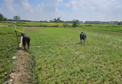 Bán đất mặt đường tại phường Vũ Ninh, Bắc Ninh, diện tích 120m2... Bán đất tại Vũ Ninh, Bắc Ninh 03