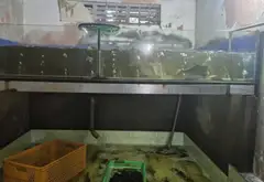 Nhà mặt tiền Phan Đăng Lưu, Phú Nhuận, hiếm có dòng tiền tốt... Bán nhà mặt phố tại Đức Nhuận, Hồ Chí Minh 09