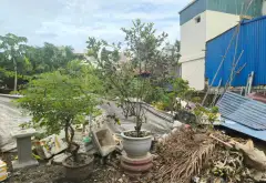 Lô đất vàng Tân Dương, Thủy Nguyên – Vị trí đỉnh, cơ hội hiếm có... Bán đất tại Thủy Nguyên, Hải Phòng 06