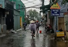 Bán nhà riêng tại Bông Sao, diện tích 49.6m2, pháp lý rõ ràng, giá 3.2 tỷ... Bán nhà riêng tại Bình Đông, Hồ Chí Minh 04