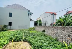 Bán đất tại trung tâm xã Thư Lâm, Đông Anh, ô tô vào tận nơi... Bán đất tại Thư Lâm, Hà Nội 02