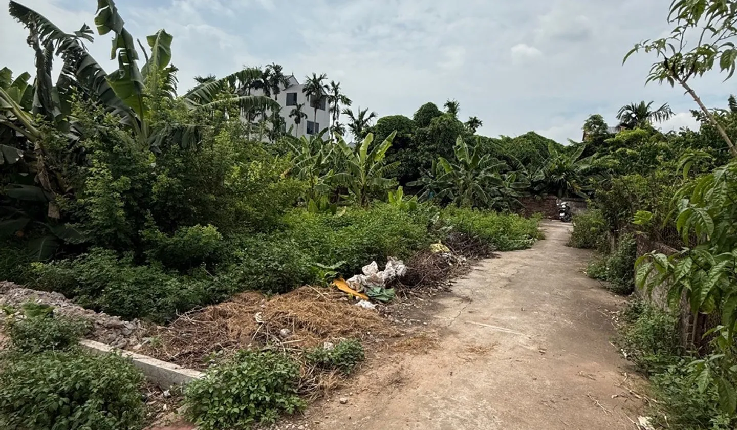 🔥🔥🔥Chỉ hơn 4 đồng có lô 103m², Mt 5m, pháp lý chuẩn, giao dịch ngay... Bán đất tại Văn Giang, Hưng Yên 01