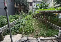 Bán đất phân lô hai mặt thoáng tại xã phường trung tâm với vị trí đắc địa... Bán đất tại Thường Tín, Hà Nội 06