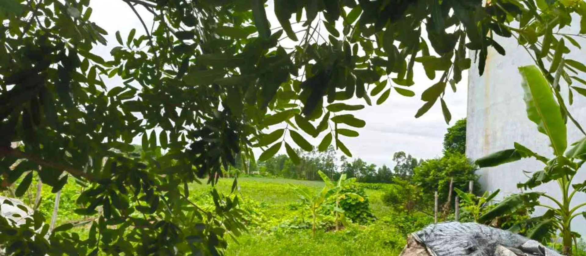 THÔN ĐÔNG MAI - LẠC ĐẠO - HƯNG YÊN... Bán đất tại Như Quỳnh, Hưng Yên 01
