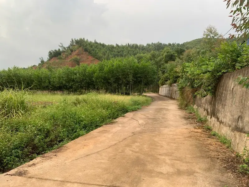 🏡 91,6m² FULL THỔ CƯ – HƯỚNG ĐÔNG NAM – Ô TÔ TẬN ĐẤT... Bán đất tại Đông Mai, Quảng Ninh 01