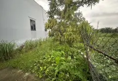 Bán đất hai mặt ngõ tại Trung Nghĩa, Nam Đô Sơn, vị trí thuận tiện gần phố... Bán đất tại Nam Đồ Sơn, Hải Phòng 06