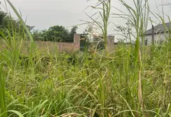 Cơ Hội Vàng Sở Hữu Đất Mặt Tiền Rộng Tại Soc Sơn, Minh Phú... Bán đất tại Sóc Sơn, Hà Nội 05