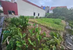 Lô Đất Vàng Khu Thắng Lợi - Mễ Sở -hưng Yên , Chờ Đón Chủ Nhân Mới!... Bán đất tại Mễ Sở, Hưng Yên 03