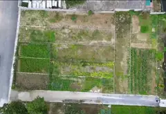 🏡 BÁN ĐẤT THỔ CƯ TIÊN TIẾN – PHÙ CỪ CŨ – HƯNG YÊN 🏡
💥 Vị trí đẹp – Ở sướng – Kinh doanh cực đỉnh... Bán đất tại Tiên Tiến, Hưng Yên 07