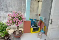 🏡 ANH CHỊ CÓ NGƯỜI LỚN TUỔI, MUỐN TÌM NHÀ YÊN TĨNH, THOÁNG MÁT ĐỂ AN CƯ, NGHỈ DƯỠNG?... Bán nhà riêng tại An Hội Đông, Hồ Chí Minh 06