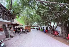Bán đất mặt tiền hơn 20m tại Xã Trịnh Thị Dối, diện tích 1053m², pháp lý cơ sở... Bán đất tại Đông Thạnh, Hồ Chí Minh 04