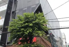 💰 GIÁ MỚI 36 TỶ TL | MT NGUYỄN HỮU TIẾN – TÂY THẠNH
📐 Ngang 6,2m × dài 27m | tổng 165m² | 4 tầng,... Bán nhà mặt phố tại Tây Thạnh, Hồ Chí Minh 01