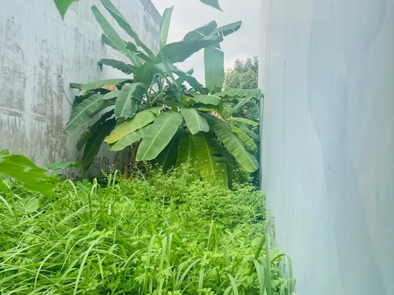 Lô đất tái định cư Long Sơn - nơi an cư lý tưởng... Bán đất tại Long Bình, Hồ Chí Minh 01
