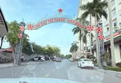 Biệt thự sân vườn đẳng cấp tại Khu đô thị Sao Đỏ - Anh Dũng 2 Hải Phòng... Bán biệt thự, liền kề tại Dương Kinh, Hải Phòng 01