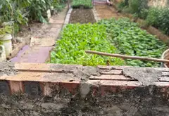 Cơ hội hiếm có sở hữu đất thôn Bầu giá tốt, pháp lý chuẩn... Bán đất tại Thiên Lộc, Hà Nội 03