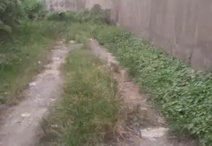 Cơ hội sở hữu đất vàng Tây Lân Bình Tân, vị trí đỉnh, giá tốt... Bán đất tại Bình Tân, Hồ Chí Minh 01