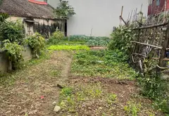 Bán nhà riêng tại trung tâm với diện tích 42m², ô tô vào nhà, ngõ thông, pháp lý rõ ràng... Bán nhà riêng tại Sơn Đồng, Hà Nội 03