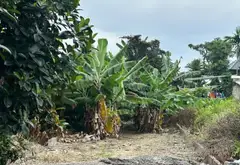 Đất đẹp mặt tiền rộng tại An Hồng - Vị trí vàng cho đầu tư an tâm... Bán đất tại An Dương, Hải Phòng 06