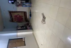 Bán nhà 2 tầng diện tích 58m2 tại phường Tân Thuận, TP.HCM... Bán nhà riêng tại Tân Thuận, Hồ Chí Minh 09