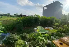 Đất nền phân lô bàn cờ tại khu đô thị Bắc Hải Vĩnh Bảo – Cơ hội vàng dành cho nhà đầu tư thượng lưu... Bán đất tại Vĩnh Bảo, Hải Phòng 02