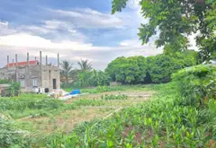 Đất Trung Tâm Hưng Yên - Cơ Hội Đáng Sở Hữu Nhất Bây Giờ!... Bán đất tại Sơn Nam, Hưng Yên 03