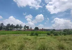 Bán đất mặt tiền rộng 45m tại xã Võ Văn Bích, diện tích 2615m2, . Giá 7.3 tr/m2... Bán đất tại Bình Mỹ, Hồ Chí Minh 04
