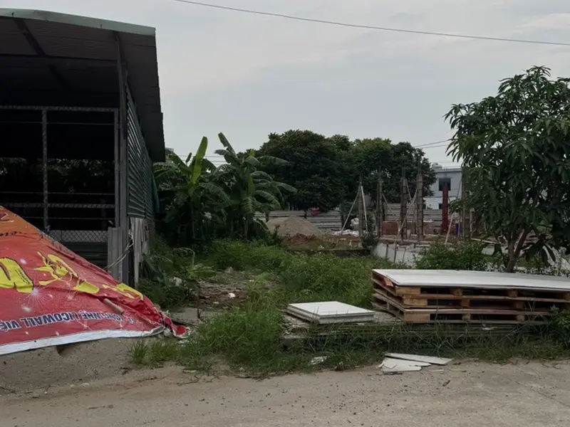 Bán đất 81m2 tại khu đấu giá Đình Tổ, mặt tiền 4.5m, ô tô tránh... Bán đất tại Thuận Thành, Bắc Ninh 01
