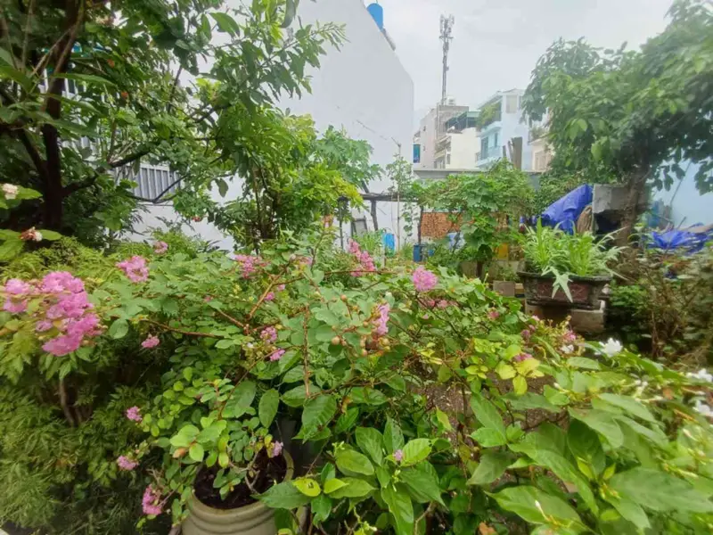 🔥 ĐẤT 109M2 -MẶT TIỀN HXH 6M THÔNG TỨ PHÍA- CÁCH LÊ VĂN THỊNH/ CHỢ CÂY XOÀI QUẬN 2 CHỈ 200M... Bán đất tại Cát Lái, Hồ Chí Minh 01