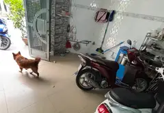 Bán nhà 4 tầng mặt phố Nguyễn Thái Học, diện tích 83.7m2, giá 13.5 tỷ... Bán nhà mặt phố tại Phú Thọ Hòa, Hồ Chí Minh 01