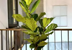 Nhà Mới Xây, Thoáng Đẹp Tại Đống Đa, Hà Nội... Bán nhà riêng tại Đống Đa, Hà Nội 09