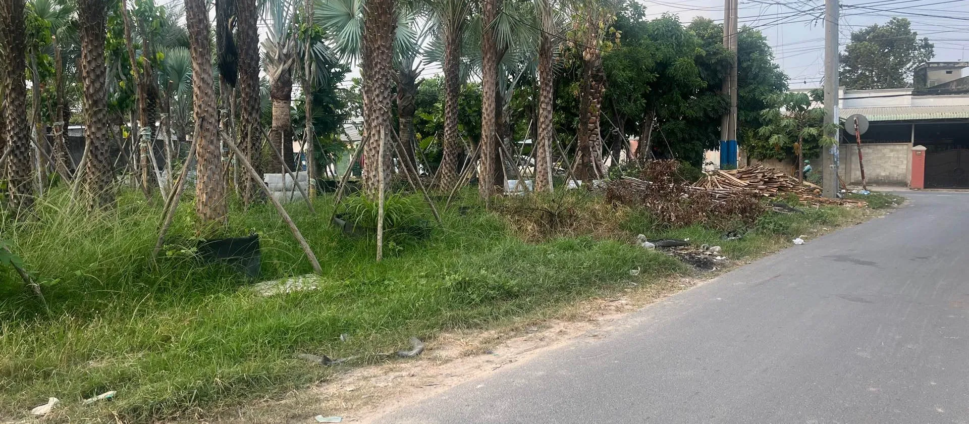 Đất ngày góc mặt tiền Tỉnh Lộ 2 - vị trí vàng cho nhà đầu tư... Bán đất tại Củ Chi, Hồ Chí Minh 01