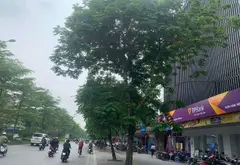 BÁN MẶT PHỐ NGUYỄN KHÁNH TOÀN - TRUNG TÂM CẦU GIẤY- VỈA HÈ SIÊU RỘNG - MẶT TIỀN LỚN - 275M - 300 TỶ... Bán nhà mặt phố tại Cầu Giấy, Hà Nội 01