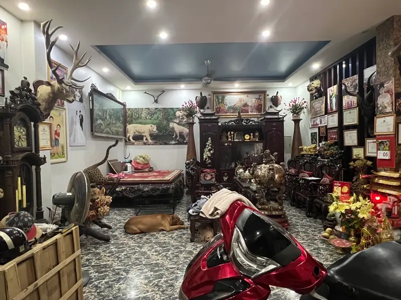 Nhà phố đẳng cấp 7 tầng đón ánh sáng tự nhiên tại Nguyễn Văn Lộc - Mỗ Lao 88/103m2... Bán nhà mặt phố tại Hà Đông, Hà Nội 01