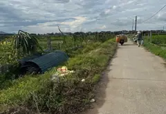 Bán Đất Đẹp Mặt Đường Ô Tô Đức Hòa - Đa Phúc - Sóc Sơn.... Bán đất tại Đa Phúc, Hà Nội 04