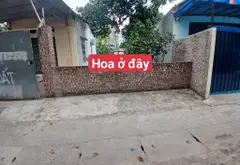 Bán đất thổ cư và đất trồng cây lâu năm tại xã Tiên Dược, Sóc Sơn, ngõ ô tô 5 chỗ... Bán owner_side tại Sóc Sơn, Hà Nội 02