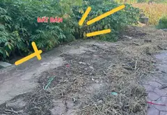 Bán đất phân lô mặt tiền 7m tại khu vực sầm uất, ô tô tránh, vỉa hè rộng... Bán đất tại Triệu Việt Vương, Hưng Yên 02
