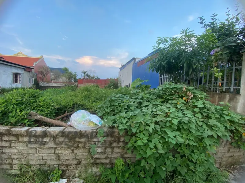 Bán đất thôn Cát Tiên, An Lão – Mặt tiền 5m, nở hậu tiện xây dựng... Bán đất tại An Quang, Hải Phòng 01