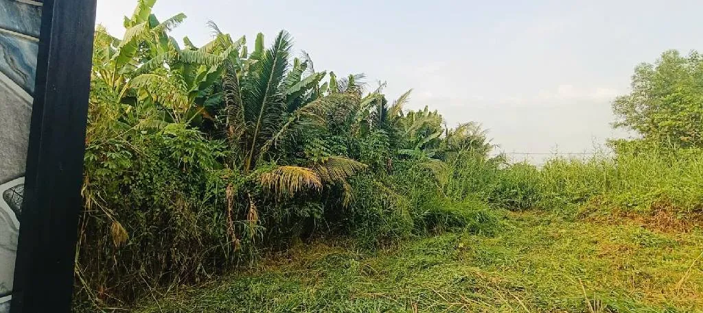 Bán đất 639m2 mặt tiền 15m tại Bình Lợi, Bình Chánh... Bán owner_side tại Bình Lợi, Hồ Chí Minh 01