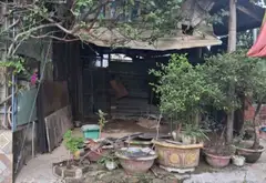 Bán đất kiệt ô tô, diện tích 100,6m², Liên Chiểu, Đà Nẵng... Bán đất tại Liên Chiểu, Đà Nẵng 03