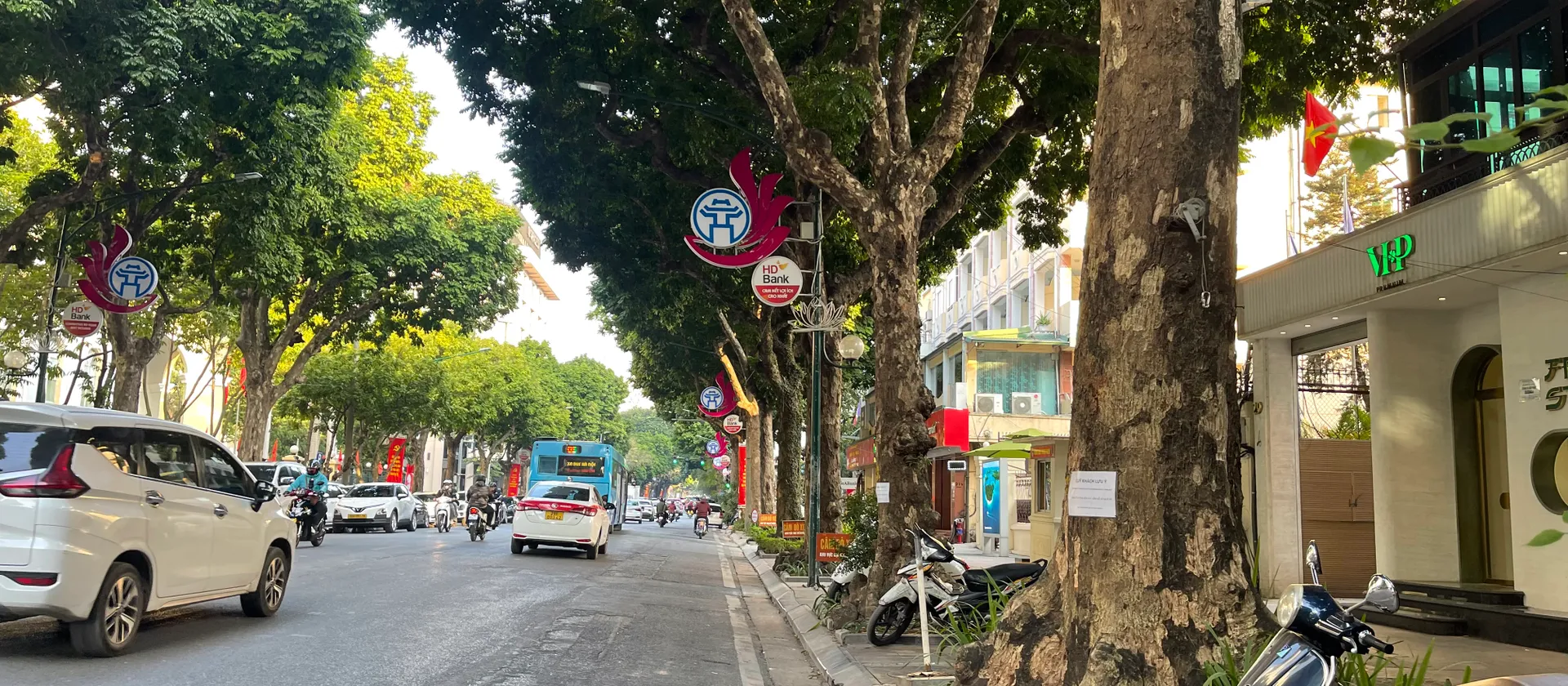 Nhà mặt phố Lò Đúc, Hai Bà Trưng, vị trí vàng giao thương đỉnh cao, giáp Hoàn Kiếm, 251m2, MT ~11m... Bán nhà mặt phố tại Hai Bà Trưng, Hà Nội 01