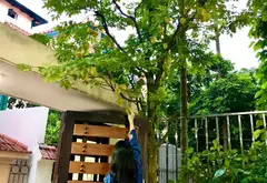 Bán mọi giá nhà sân vườn Thang máy tại Ngọc Thụy, Long Biên... Bán nhà riêng tại Bồ Đề, Hà Nội 01