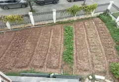B. Biệt thự song lập 4 tầng, 514m², Từ Liêm, Hà Nội, lô góc 3 mặt đường kinh doanh, giá chào 335 tỷ... Bán partner tại Từ Liêm, Hà Nội 10