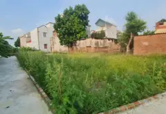 Bán lô đất 62.3 m² tại phường An Bình, gần khu công nghiệp Thuận Thành... Bán đất tại Mão Điền, Bắc Ninh 01