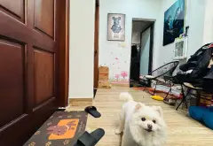 Bán nhà riêng 5 tầng tại phường Đội Cấn - Hoàng Hoa Thám, diện tích 40m², pháp lý đầy đủ... Bán nhà riêng tại Ba Đình, Hà Nội 03