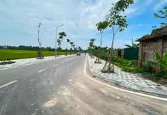 Bán nhà riêng 3 tầng diện tích 40m² tại Đông Anh, giá 4.8 tỷ đồng... Bán nhà riêng tại Đông Anh, Hà Nội 01