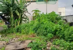 Bán đất thổ cư mặt tiền đường Phan Văn Đối, xã Bà Điểm, Hóc Môn, 909m2... Bán đất tại Bà Điểm, Hồ Chí Minh 05