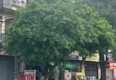 Nhà mặt phố 3 tầng cùng đất rộng 103m² tại Hải An, Hải Phòng - Cơ hội kinh doanh đắc địa... Bán nhà mặt phố tại Hải An, Hải Phòng 12